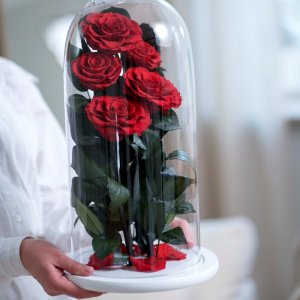 Букети троянд у колбі → 4300 грн