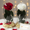 Miniature Rose in a Flask Lerosh - Mini 20 cm