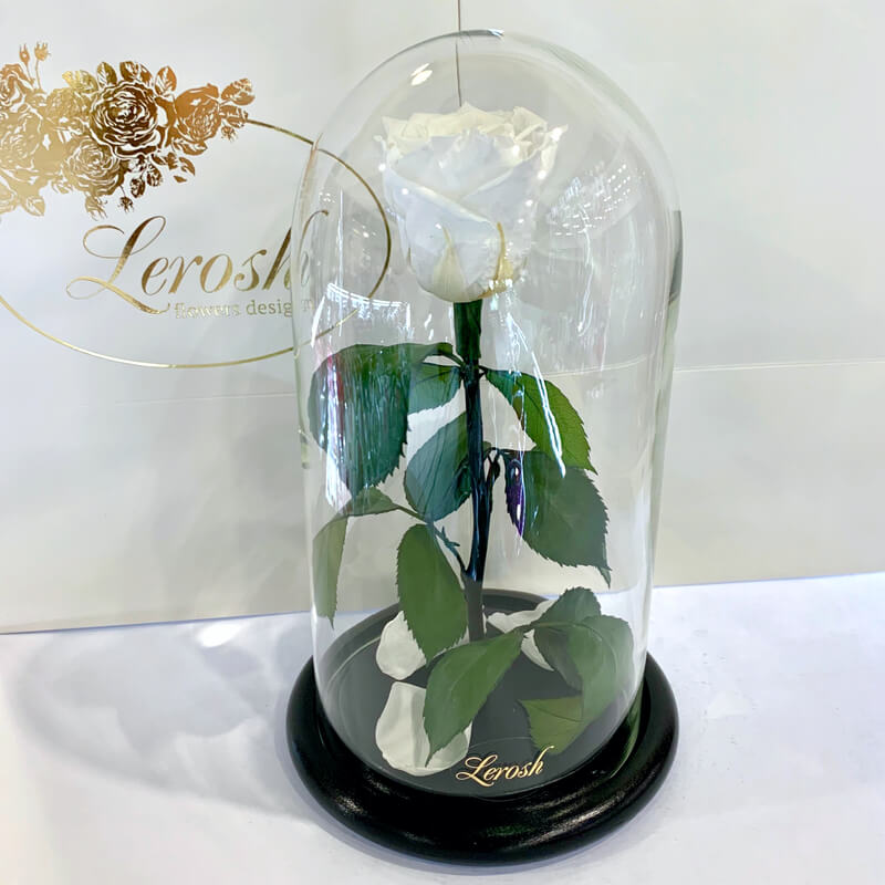 Біла троянда в колбі Lerosh - Classic 27 см