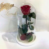 Бордова троянда в колбі Lerosh - Classic 27 см
