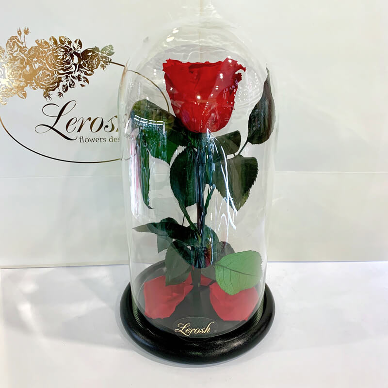 Червона троянда в колбі Lerosh - Classic 27 см