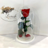 Red Eternal Rose in Flask Lerosh - Classic 27 cm on a white stand