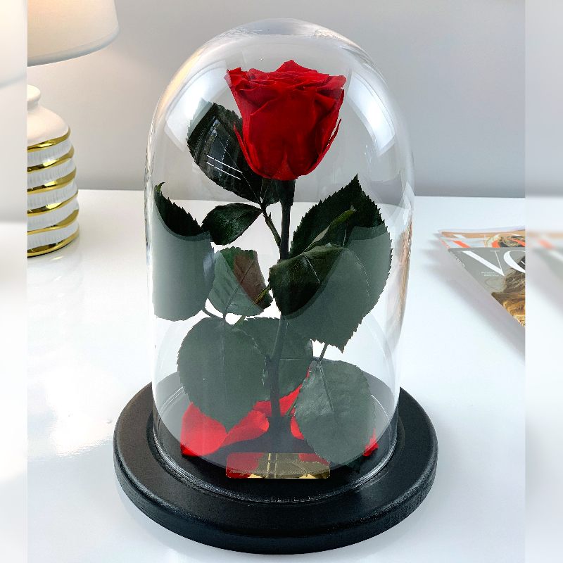 Роза в колбі з гравіюванням Lerosh - Classic 27 см