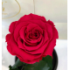 Raspberry Eternal Rose in Flask Lerosh - Classic 27 cm