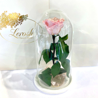 Pink Pearl Eternal Rose in Flask Lerosh - Classic 27 cm
