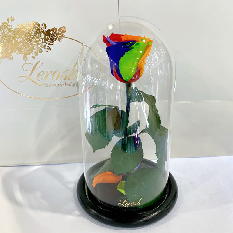 Яскрава Різнокольорова троянда в колбі Lerosh - Classic 27 см