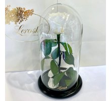 Біла троянда в колбі Lerosh - Classic 27 см