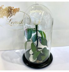 Біла троянда в колбі Lerosh - Classic 27 см