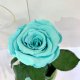 Turquoise Eternal Rose in Flask Lerosh - Classic 27 cm
