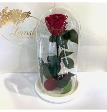 Бордова троянда в колбі Lerosh - Classic 27 см