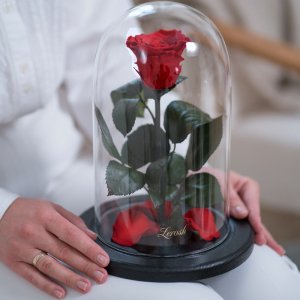 Троянди в колбі Classic 27 см ► 3400  грн