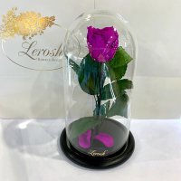 Фіолетова троянда в колбі Lerosh - Classic 27 см