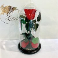 Червона троянда в колбі Lerosh - Classic 27 см