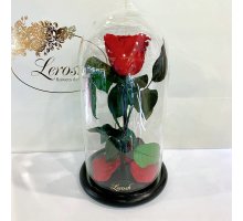 Червона троянда в колбі Lerosh - Classic 27 см