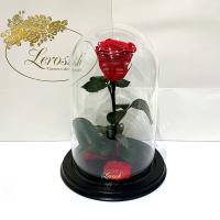 Червона троянда в колбі Lerosh - NEW Classic 27 см