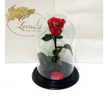 Червона троянда в колбі Lerosh - NEW Classic 27 см