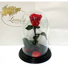 Червона троянда в колбі Lerosh - NEW Classic 27 см