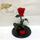Red Eternal Rose in Flask Lerosh - NEW Classic 27 cm