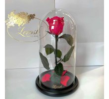 Малинова троянда в колбі Lerosh - Classic 27 см