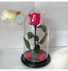 Малинова троянда в колбі Lerosh - Classic 27 см