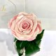 Pink Pearl Eternal Rose in Flask Lerosh - Classic 27 cm