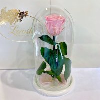 Рожева троянда в колбі Lerosh - Classic 27 см