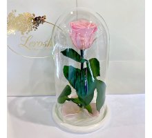 Рожева троянда в колбі Lerosh - Classic 27 см