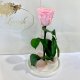 Pink Eternal Rose in Flask Lerosh - Classic 27 cm