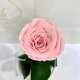 Pink Eternal Rose in Flask Lerosh - Classic 27 cm