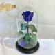 Dark Blue Eternal Rose in Flask Lerosh - Classic 27 cm