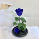 Dark Blue Eternal Rose in Flask Lerosh - Classic 27 cm