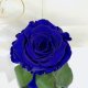 Dark Blue Eternal Rose in Flask Lerosh - Classic 27 cm