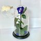 Dark Blue Eternal Rose in Flask Lerosh - Classic 27 cm