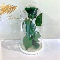 Зелена троянда в колбі Lerosh - Classic 27 см