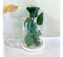 Зелена троянда в колбі Lerosh - Classic 27 см