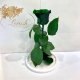 Green Eternal Rose in Flask Lerosh - Classic 27 cm