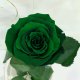 Green Eternal Rose in Flask Lerosh - Classic 27 cm
