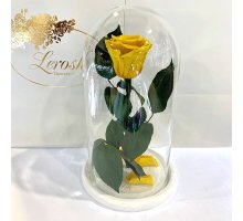 Жовта троянда в колбі Lerosh - Classic 27 см