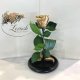Gold Eternal Rose in Flask Lerosh - Classic 27 cm
