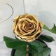 Gold Eternal Rose in Flask Lerosh - Classic 27 cm