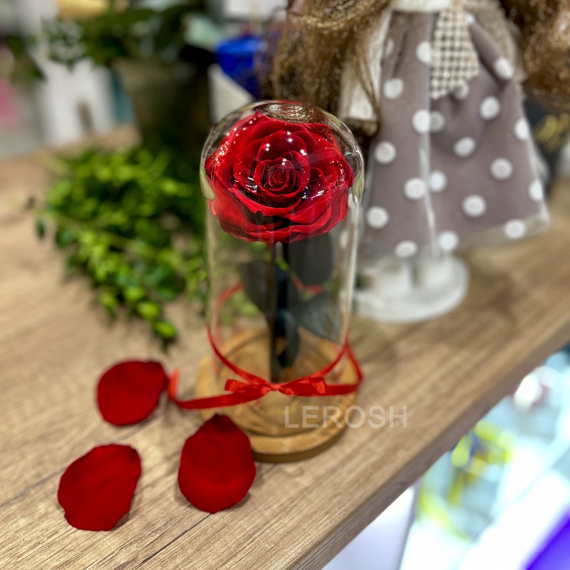 Natural Miniature Stabilized Rose in a Flask Lerosh - Mini 20 cm
