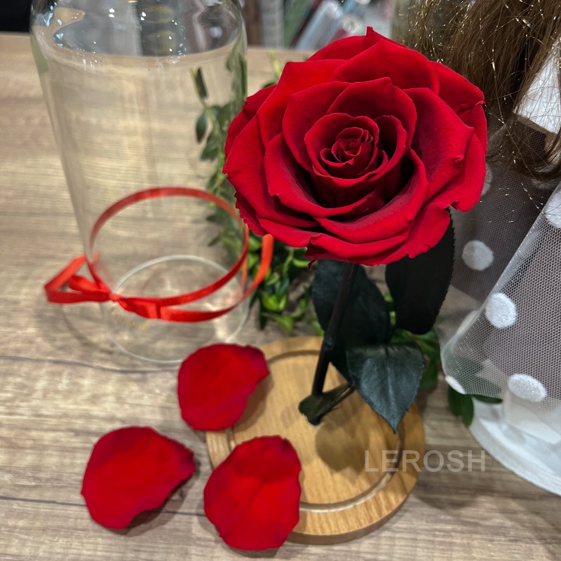 Natural Miniature Stabilized Rose in a Flask Lerosh - Mini 20 cm