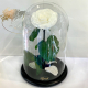 White Eternal Rose in Flask Lerosh - Lux 33 cm