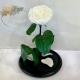 White Eternal Rose in Flask Lerosh - Lux 33 cm