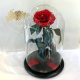 Red Diamond Eternal Rose in Flask Lerosh - Lux 33 cm