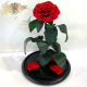 Red Diamond Eternal Rose in Flask Lerosh - Lux 33 cm