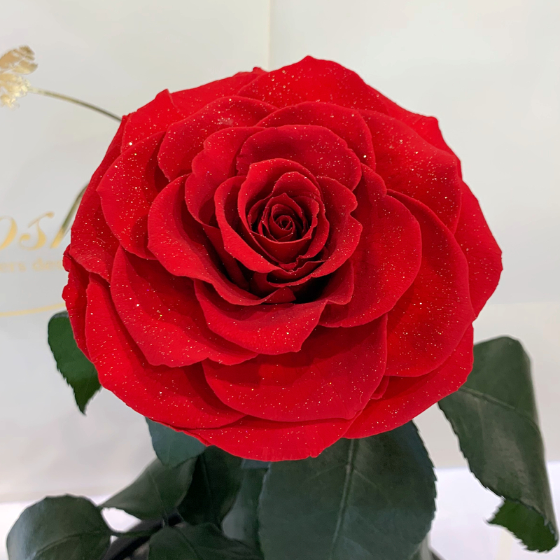 Red Diamond Eternal Rose in Flask Lerosh - Lux 33 cm