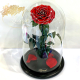 Red Glitter Eternal Rose in Flask Lerosh - Lux 33 cm