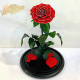 Red Glitter Eternal Rose in Flask Lerosh - Lux 33 cm
