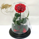 Red Eternal Rose in Flask Lerosh - Lux 33 cm